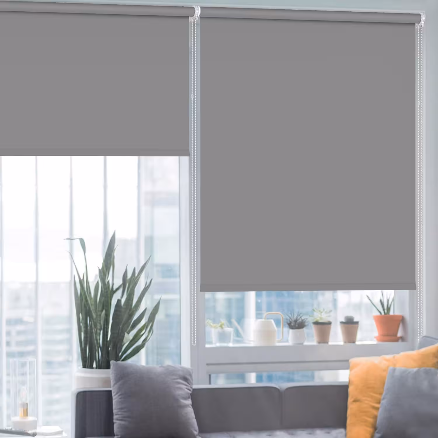 Roller Blinds